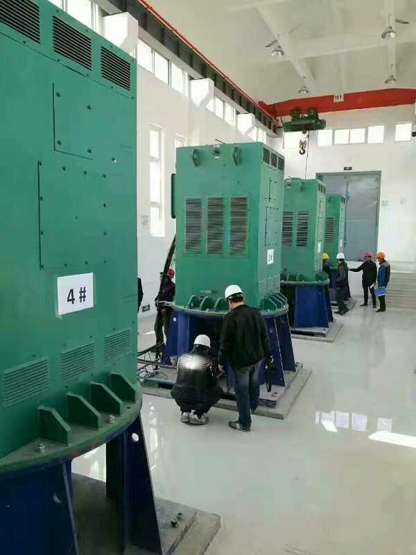 钦南某污水处理厂使用我厂的立式高压电机安装现场